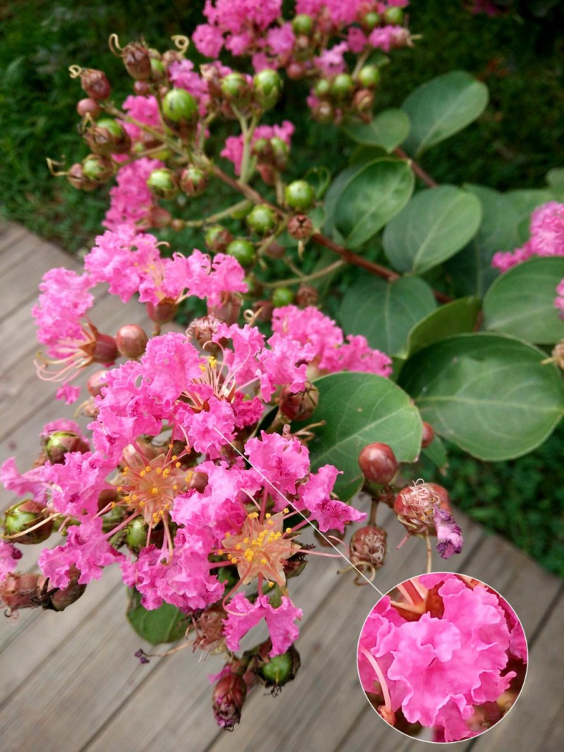 聯(lián)想P1評(píng)測 指紋解鎖超長時(shí)間續(xù)航