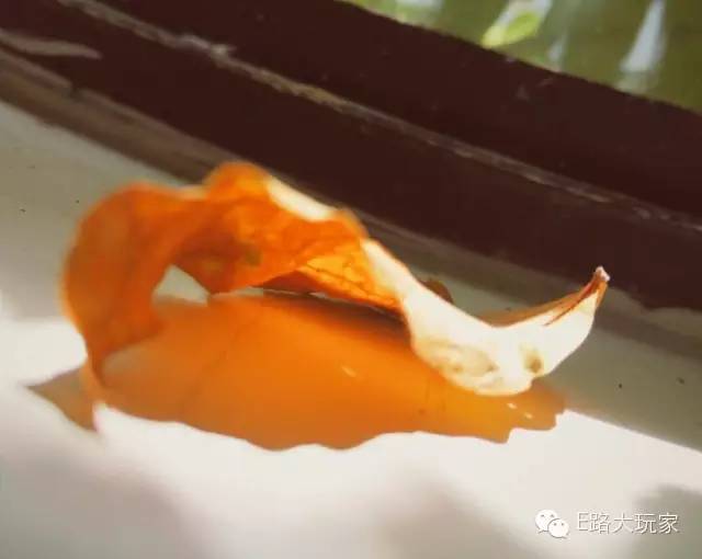 手機(jī)攝影俱樂部“金秋旅行手機(jī)攝影賽”獲獎名單出爐