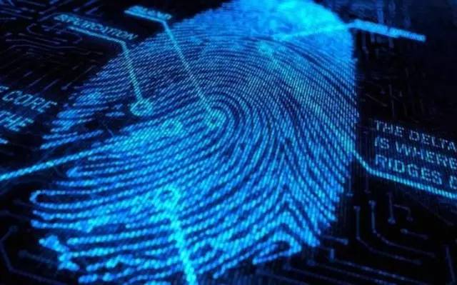 指紋識別技術(shù)