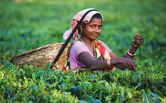 印度制造：中國企業(yè)的機(jī)遇和風(fēng)險(xiǎn)