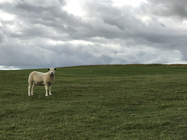 iPhone 7 Plus外景拍攝