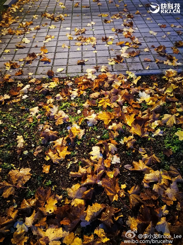 徠卡雙攝逆天！華為Mate 9實(shí)拍樣張首曝：給力