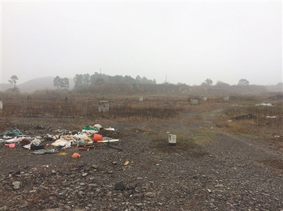 樂視兩項目未現(xiàn)施工跡象 涉投資額600億