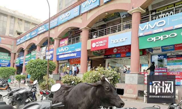 OV和小米們?nèi)绾螉Z取印度半壁江山？