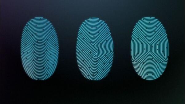 萬(wàn)能指紋并非安全 解鎖成功率達(dá)65%