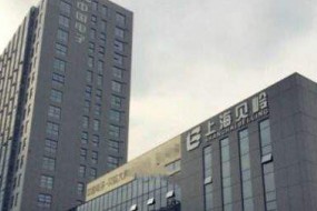 貝嶺微電子宣告破產(chǎn)，業(yè)務(wù)重組或?qū)⒀杆僬归_