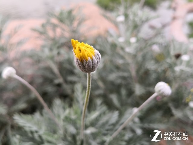 除了徠卡，華為用AI給手機(jī)拍照加了一個(gè)新的維度