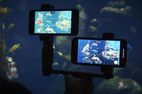 Pixel 2拍照對(duì)決iPhone X 單攝擊敗雙攝呢？