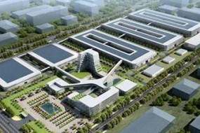 6295萬募資遭銀行強行劃走 猛獅科技：要求盡快歸還