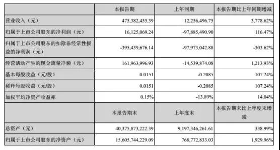 維信諾2018年上半年業(yè)績報表