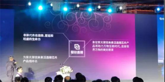 趙偉國：國產(chǎn)移動芯片進軍中高端市場，5G機遇與挑戰(zhàn)并存