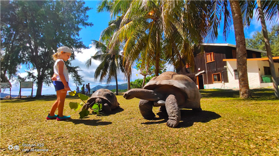 vivo影像尋城記前往塞舌爾 用X23發(fā)現(xiàn)傳說中的&ldquo;伊甸園&rdquo;