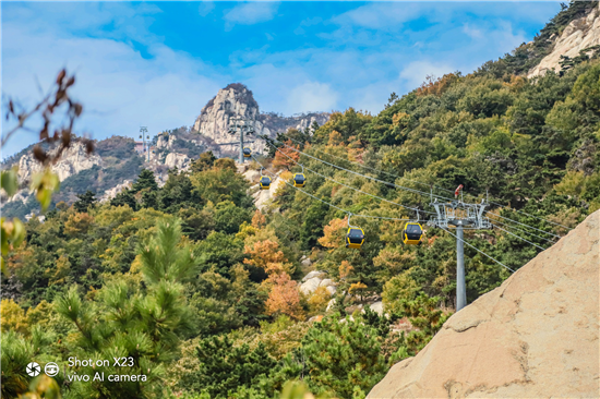 以夢為馬 不負(fù)韶光， 颯爽秋風(fēng)中開啟雷克薩斯&vivo智趣之旅