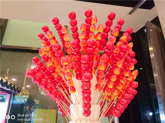 vivo Y93s拍照實測：AI加持，高顏值千元拍照利器