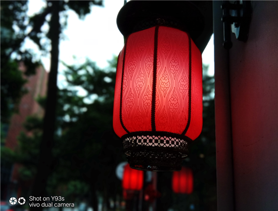 vivo Y93s拍照實測：AI加持，高顏值千元拍照利器