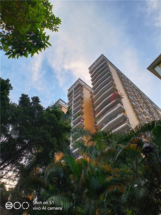 潮美外觀+全新拍照體驗(yàn)！vivo S1寵愛粉照亮你的美