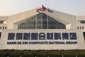 從“科技狂膜”到“造假狂魔”，康得新挪空122億