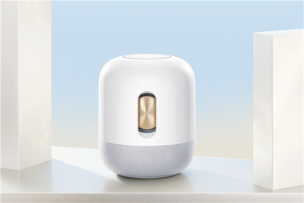 華為Sound X白金版
