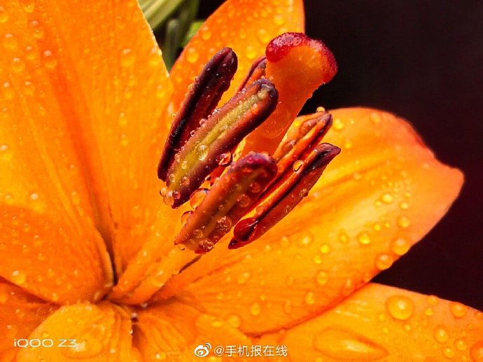 iQOO Z3重磅發(fā)布，三大性能刷新千元性能入門機標準