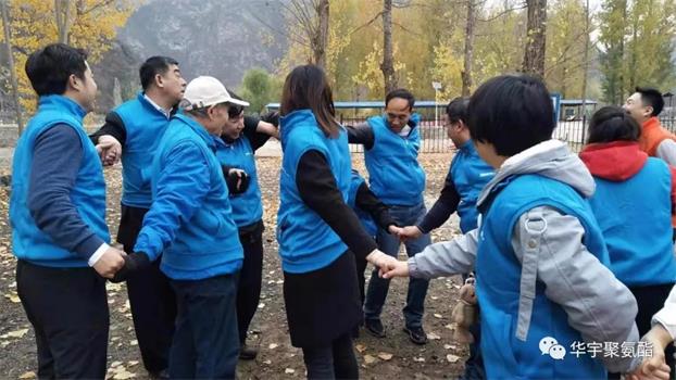 廊坊華宇秋季領導班子團建活動